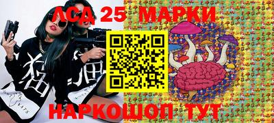 apvp Дубна