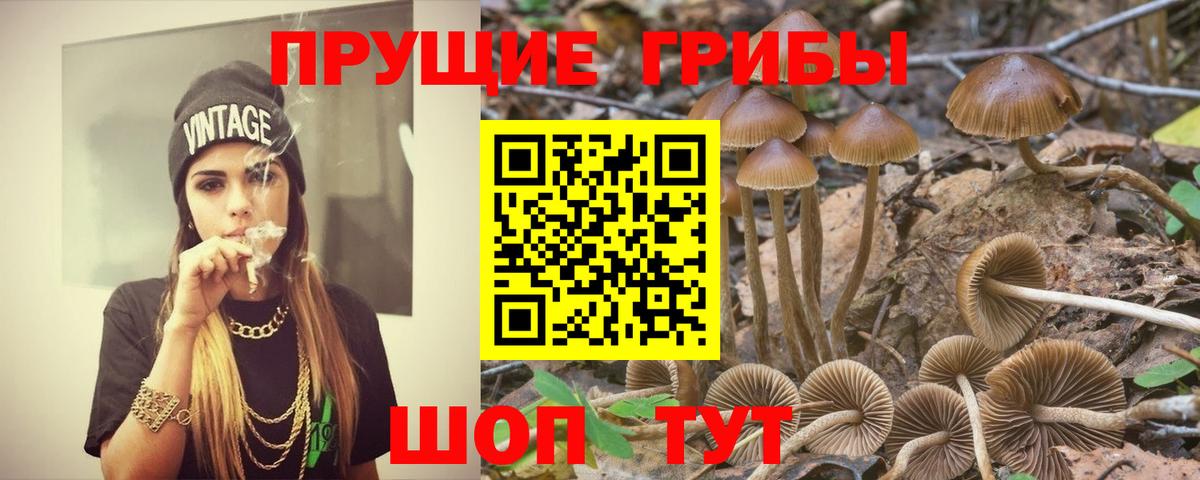 Галлюциногенные грибы мухоморы Арсеньев