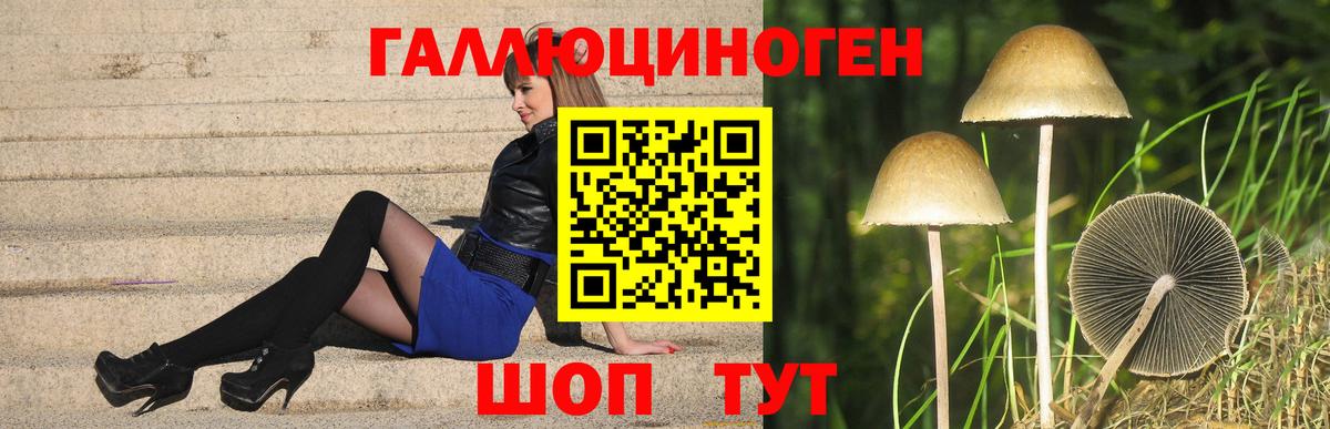 Арсеньев  Псилоцибиновые грибы мицелий  Псилоцибиновые грибы GOLDEN TEACHER  магазин продажи   Вход с VPN 